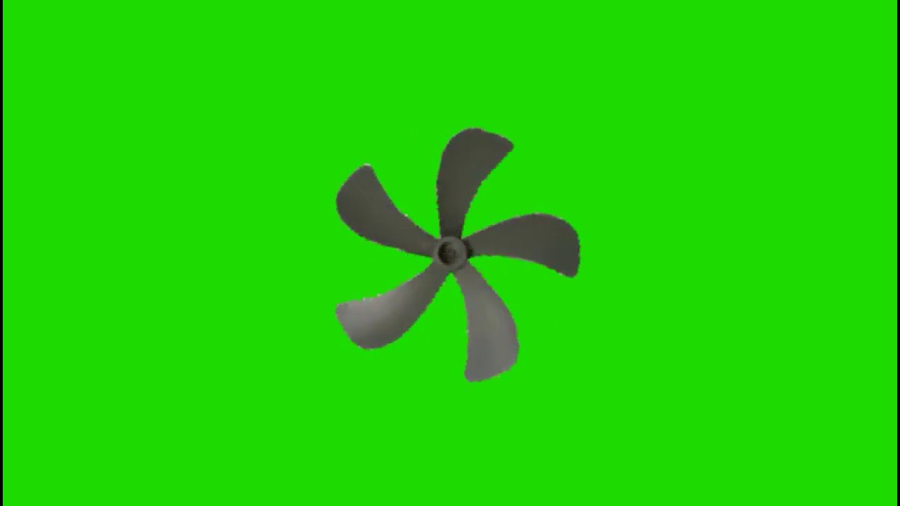 fan green screen video