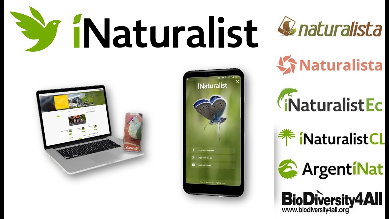 Como usar iNaturalist o Naturalista 2023 desde la PC y el Celular