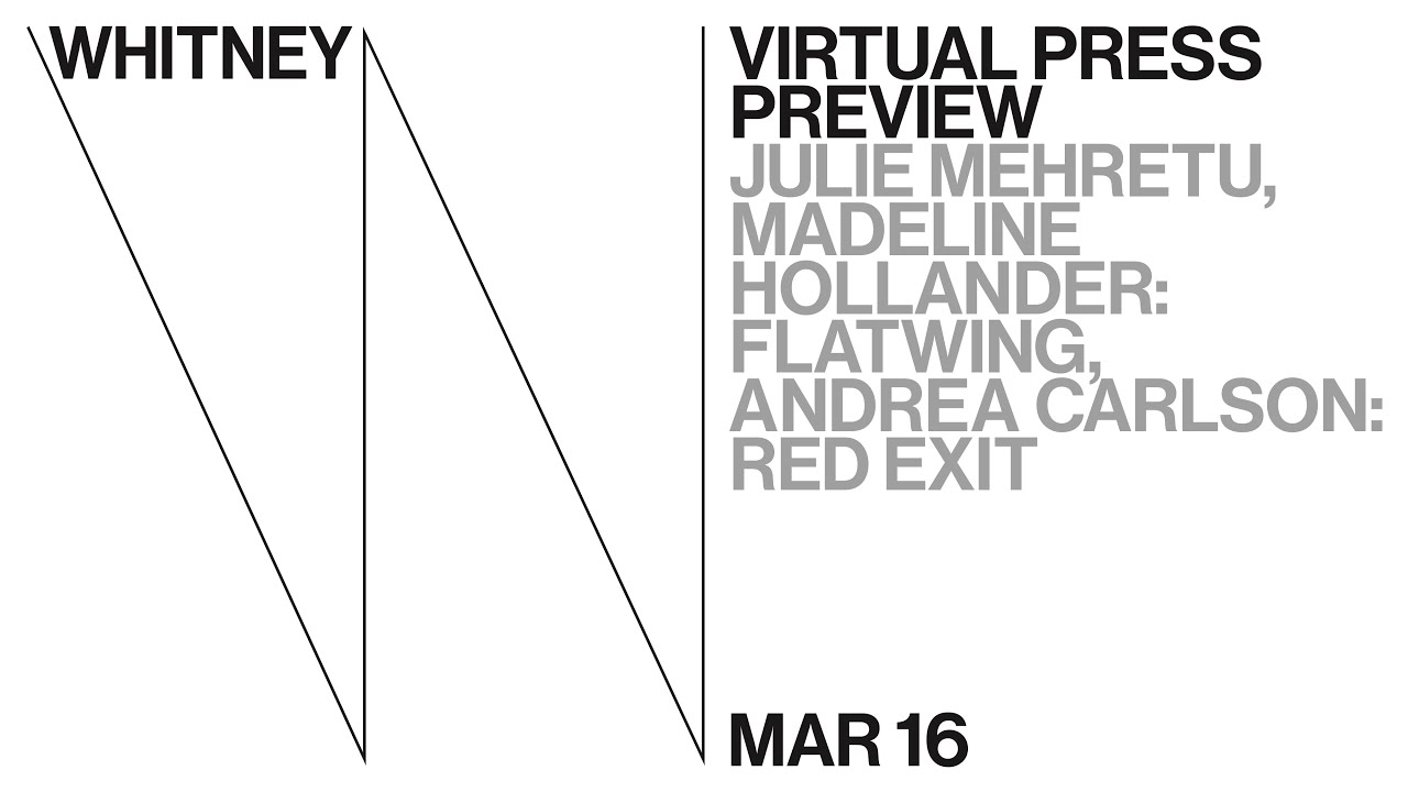 Press Preview: Julie Mehretu, Madeline Hollander, Andrea Carlson