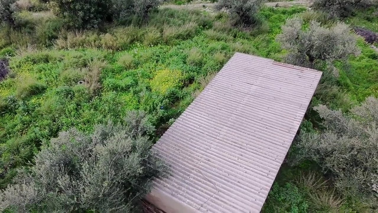UCJF46981