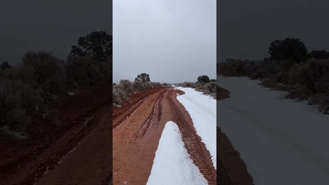Turns out, the waggy is not a snowbomber.