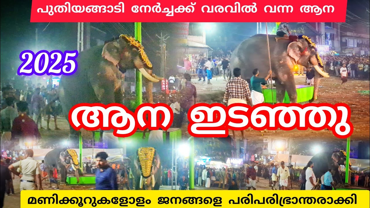 ആന ഇടഞ്ഞു😱പുതിയങ്ങാടി നേർച്ചക്ക് 😥മണിക്കൂറുകളോളം ജനങ്ങൾ പരിഭ്രാധരായി #nercha #elephant