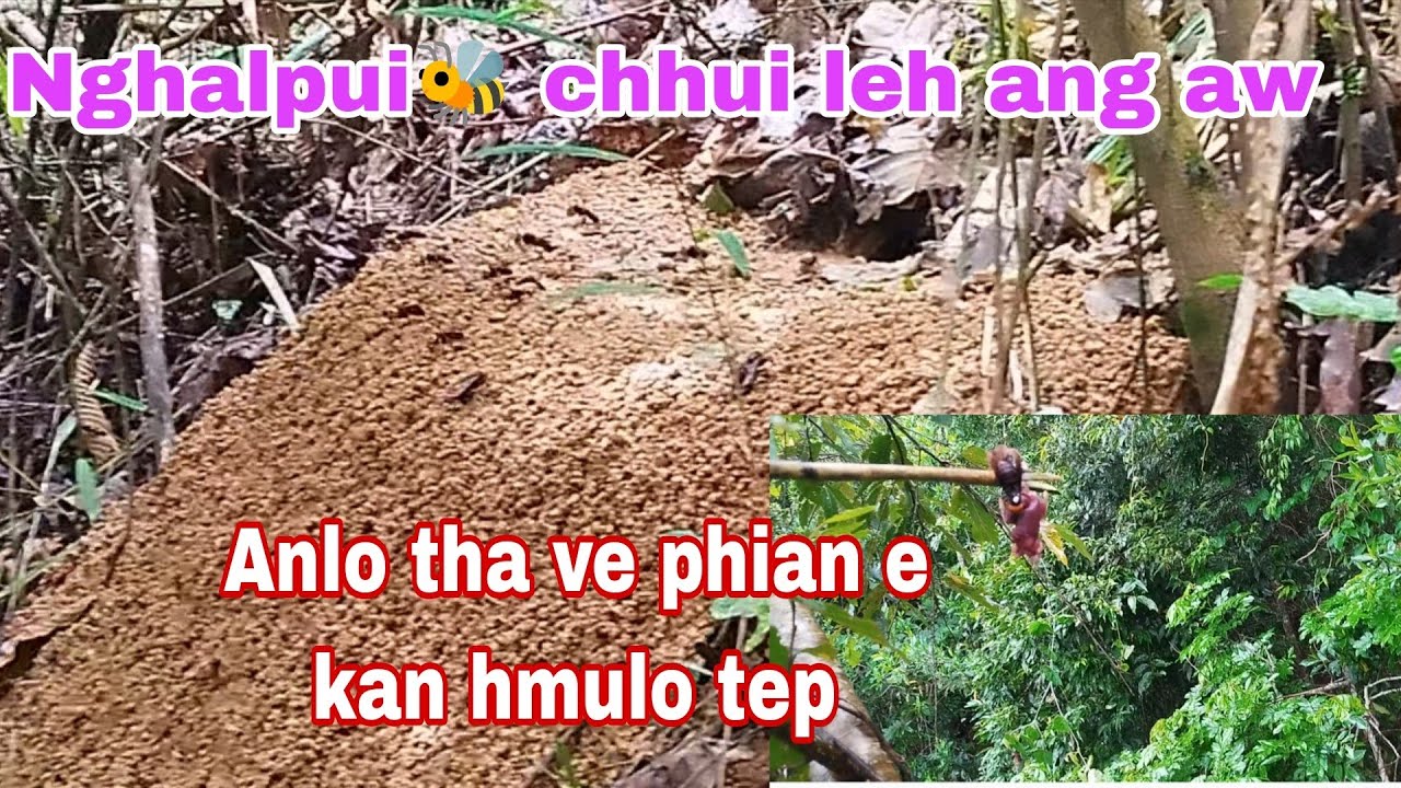 Nghalpui🐝 chhui vawi-2-na || Alo zia ve viau, kan hmulo tep😁