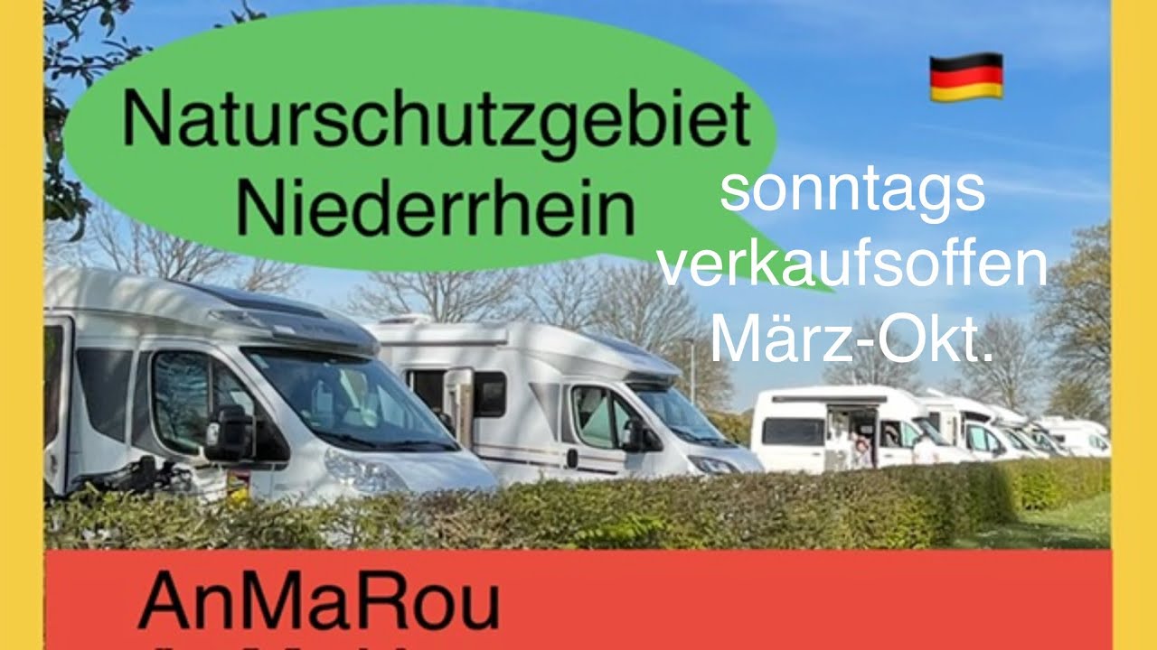🇩🇪 Brüggen Camping Brachter Wald Naturschutzgebiet, Niederrhein NRW