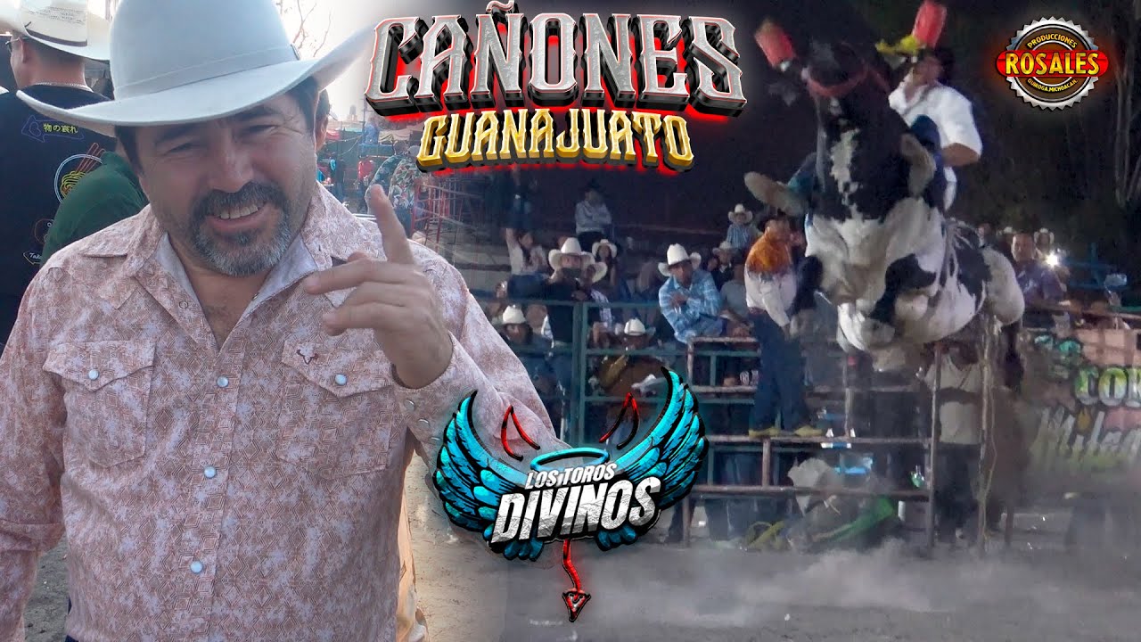 LOS TOROS DIVINOS || Cañones Guanajuato 2024