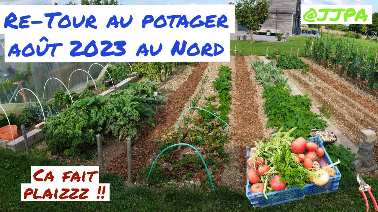 Re-tour du potager de julien en aout 2023 au Nord 🍅🍅