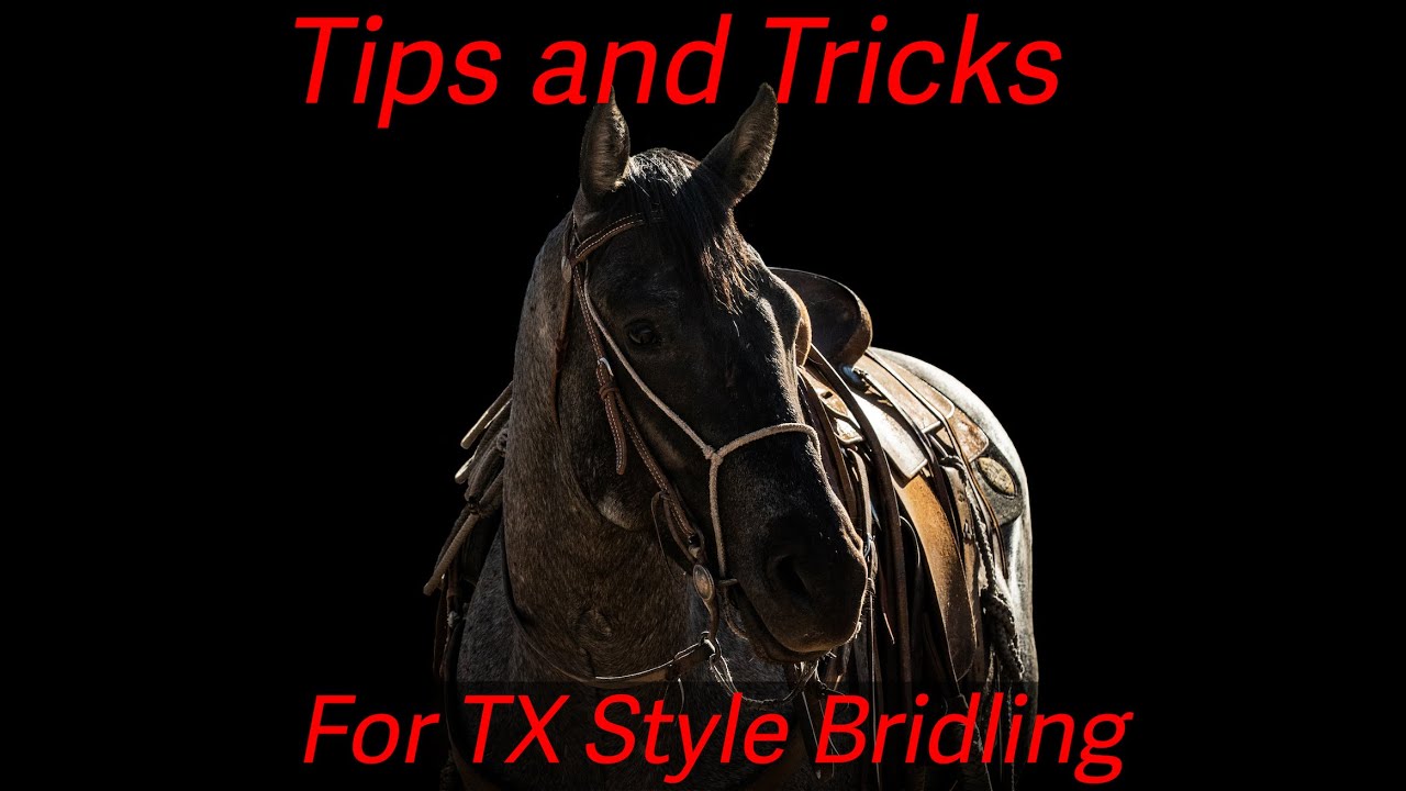Bridling: Texas Style