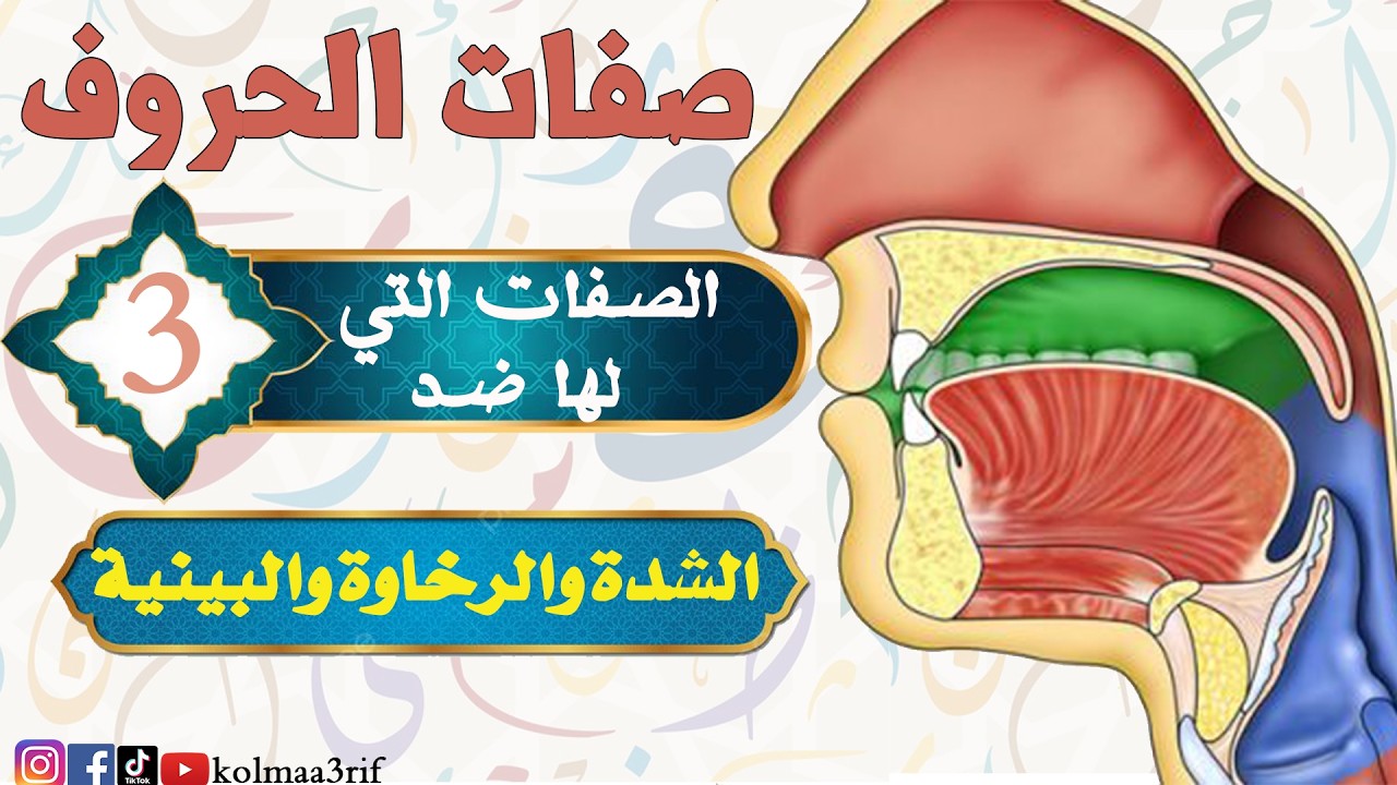 تعلم التجويد:  الصفات التي لها ضد (الشدة والرخاوة والبينيّة)