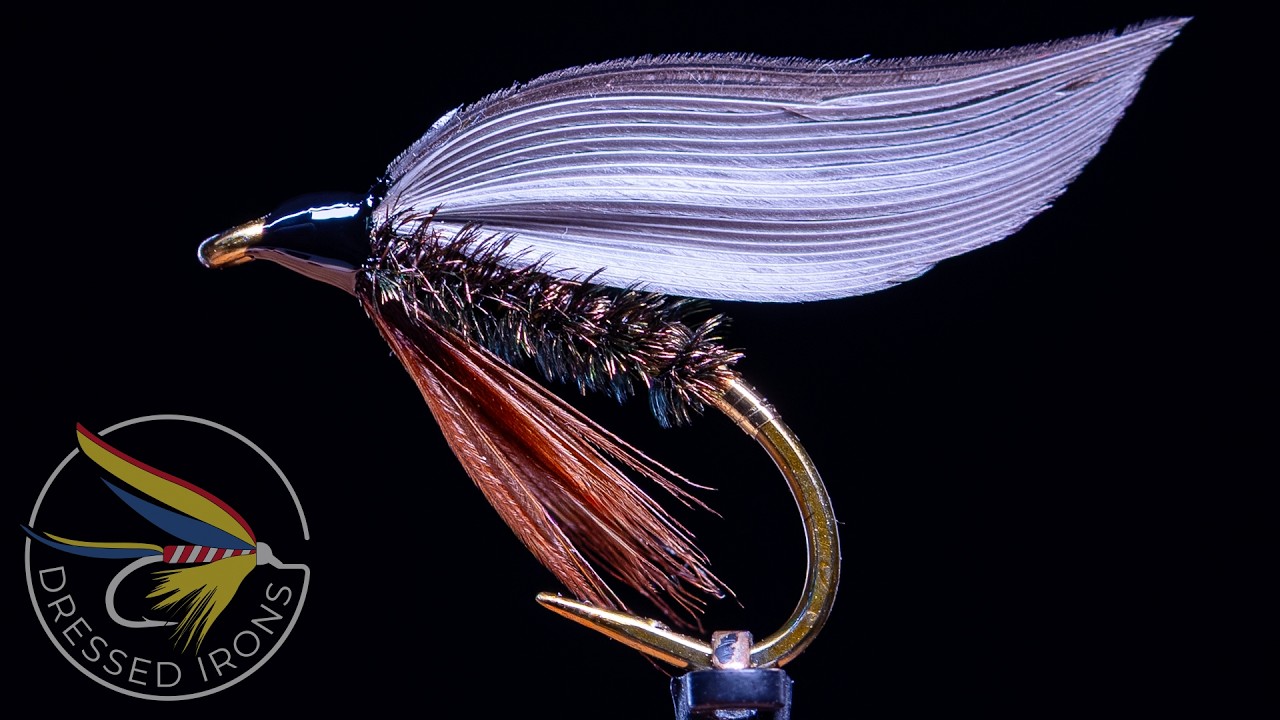 Tying the Leadwing Coachman Wet Fly- Dressed Irons