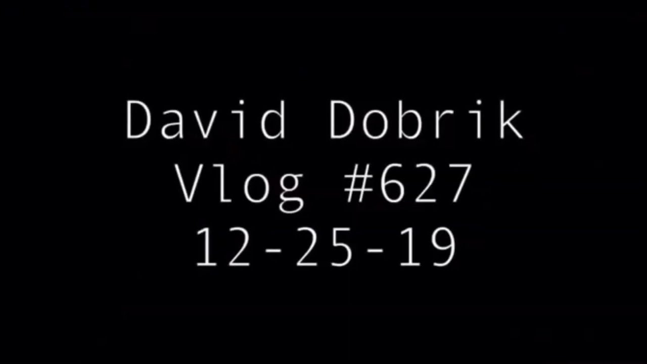 [ Deleted Vlog ] - David Dobrik I HAD TO SLAP HIM