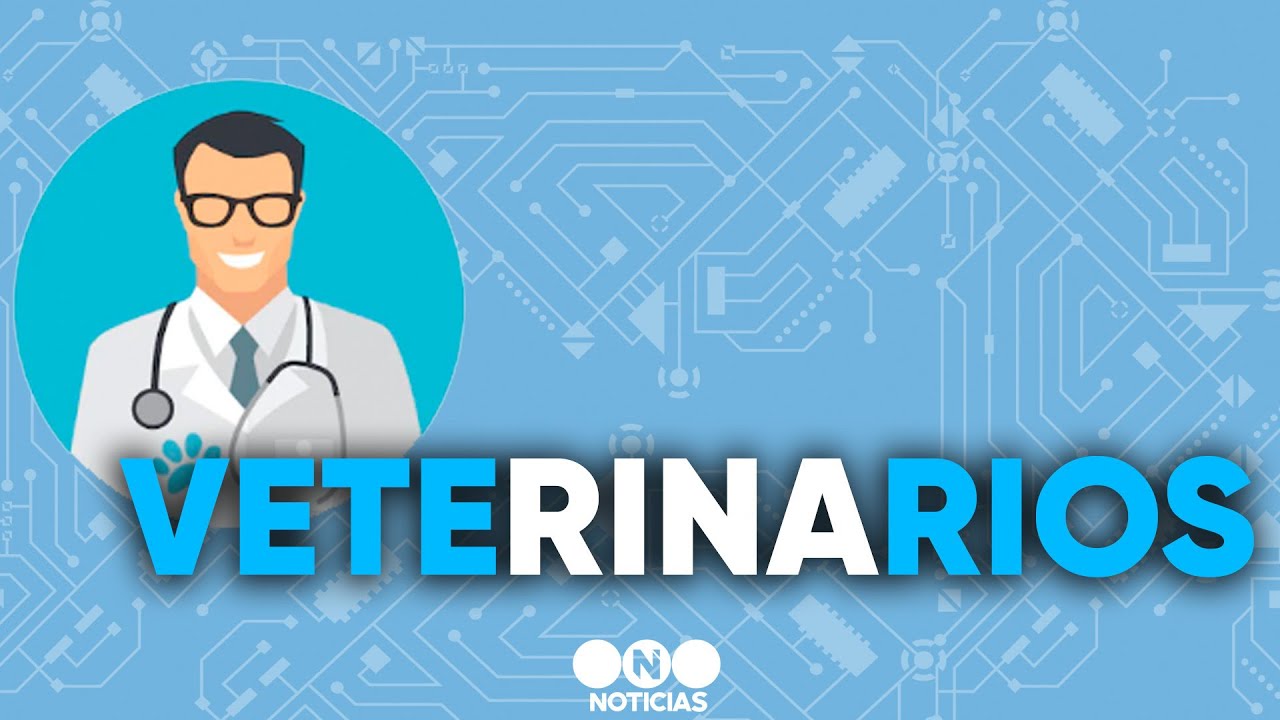 PROFESIONES ARGENTINAS: 🐶 Los SECRETOS de los VETERINARIOS - Telefe Noticias