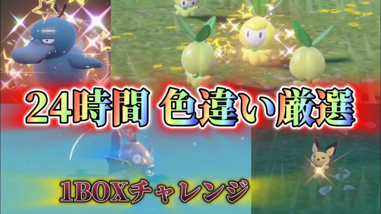 24時間で色違いBOX作るチャレンジがえぐすぎたw 【ポケモンSV】