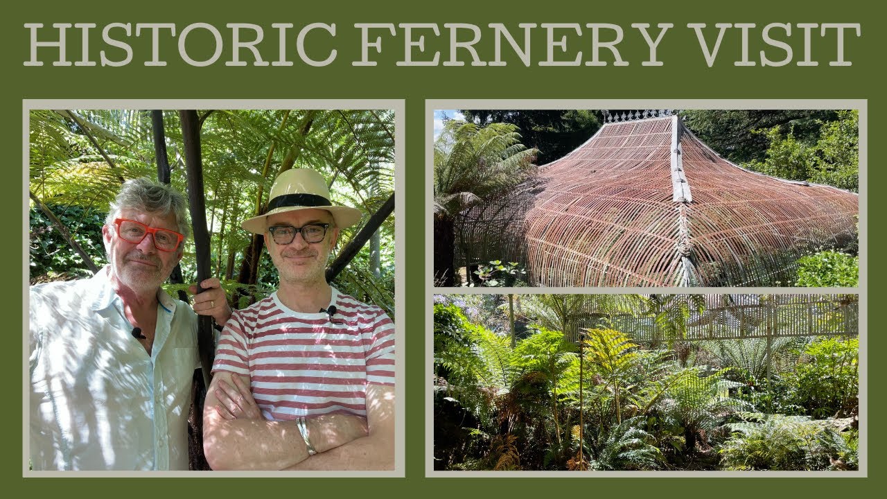 Historic Fernery Visit: the 19th century Mt Macedon estate Ard Choille has some amazing features!