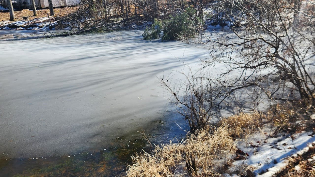Working on the pond January 2026