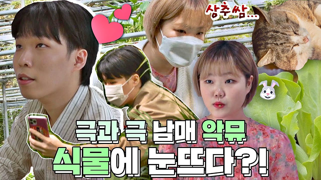 [악뮤(AKMU) 스페셜] '재테크' vs '파테크' 극과 극 남매 찬혁-수현의 플랜테리어&홈 가드닝 스페셜🌿 〈독립만세(alonenice)〉 | JTBC 210503 방송