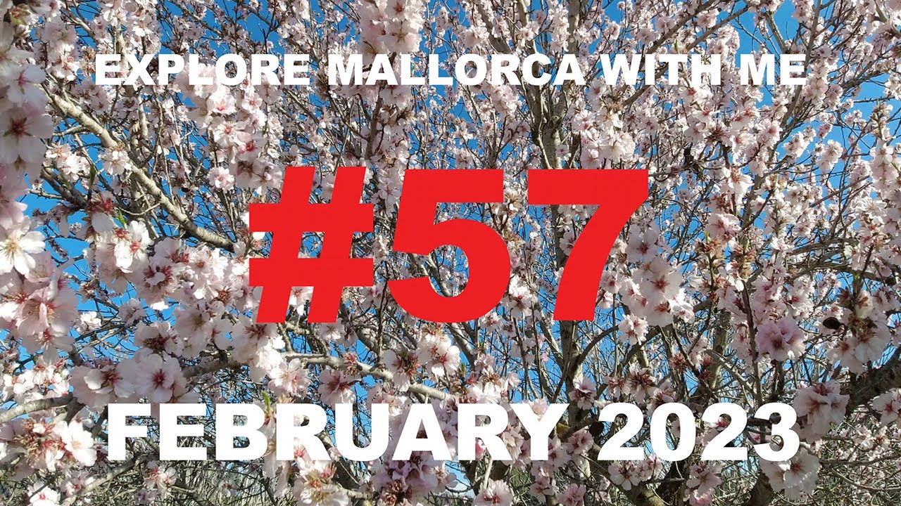 #57 my February guess How much i made selling treasures on local market? vlog Mallorca 2023 @DJI