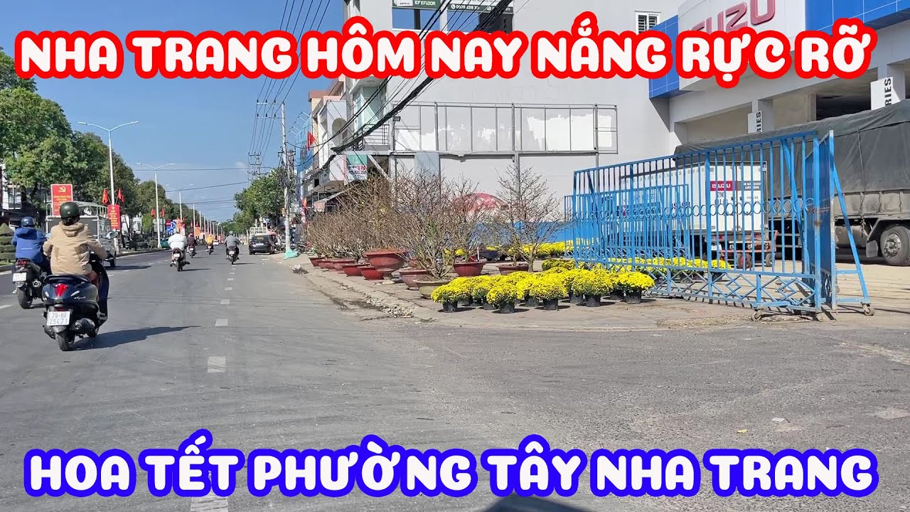 Đường 23.10 hoa tết đã ra khoe sắc - Nha Trang cuối năm nắng rực rỡ