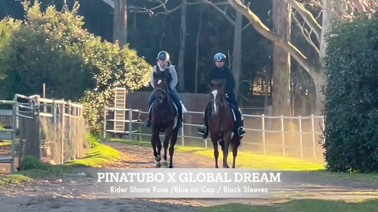 PINATUBO X GLOBAL DREAM   11/07/25 - WK2 Pre training https://tinyurl.com/SHARES-AVAILABLE-GD