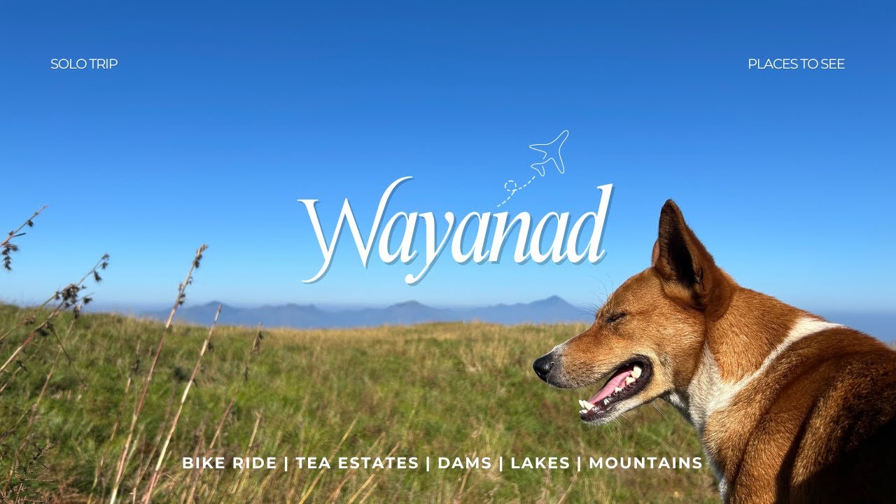 Backpacking Wayanad Alone | Bike, Hostel & Hills