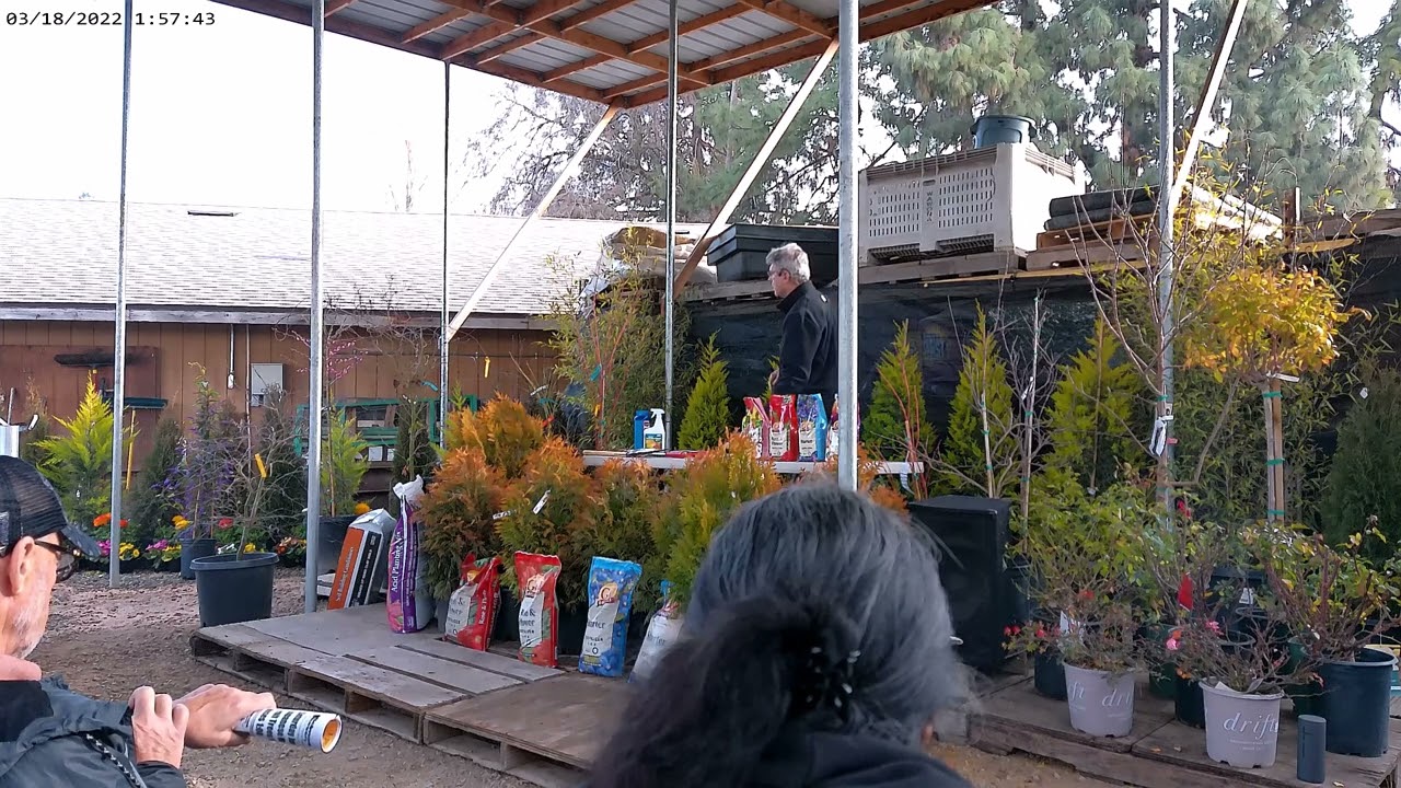 Pruning Seminar 1.27.24