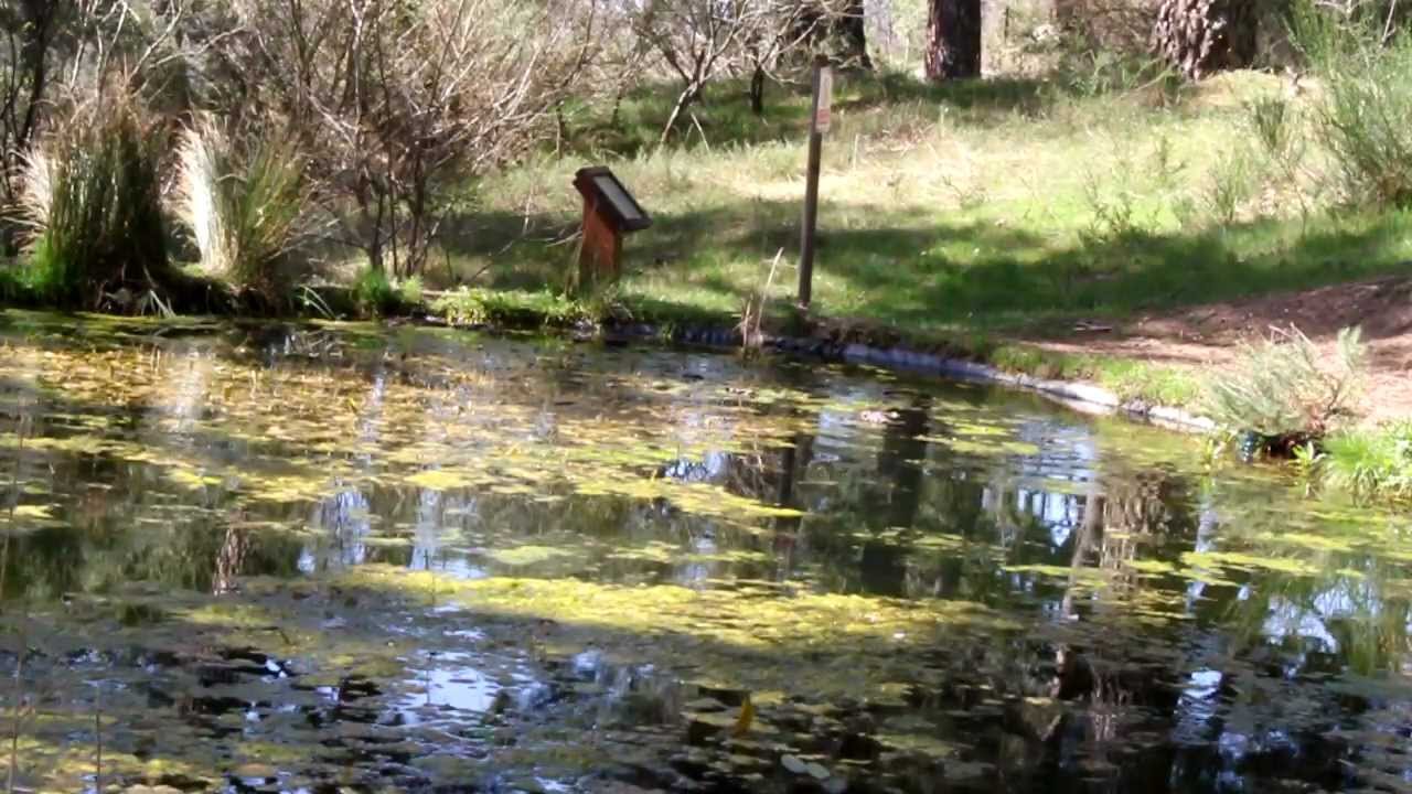 Paseo por el Arboreto Luis Ceballos