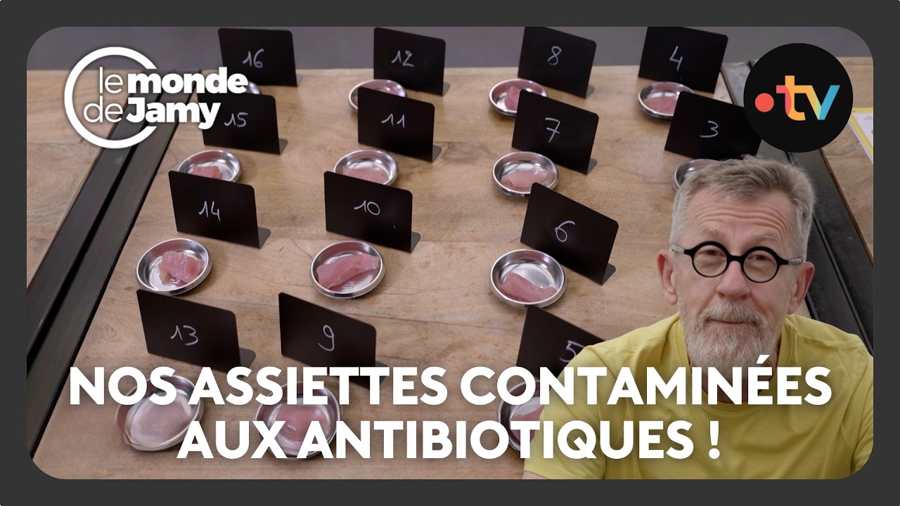 Bactéries résistantes : faut-il avoir peur de la viande que nous mangeons ? - Le monde de Jamy