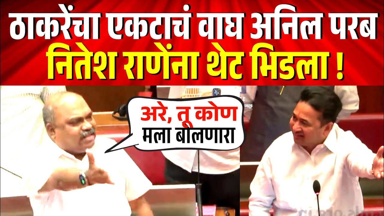 ठाकरेंचा वाघ अनिल परब, नितेश राणे अन्‌ भाजपला थेट भिडला ! Anil Parab vs Nitesh Rane | Budget Session
