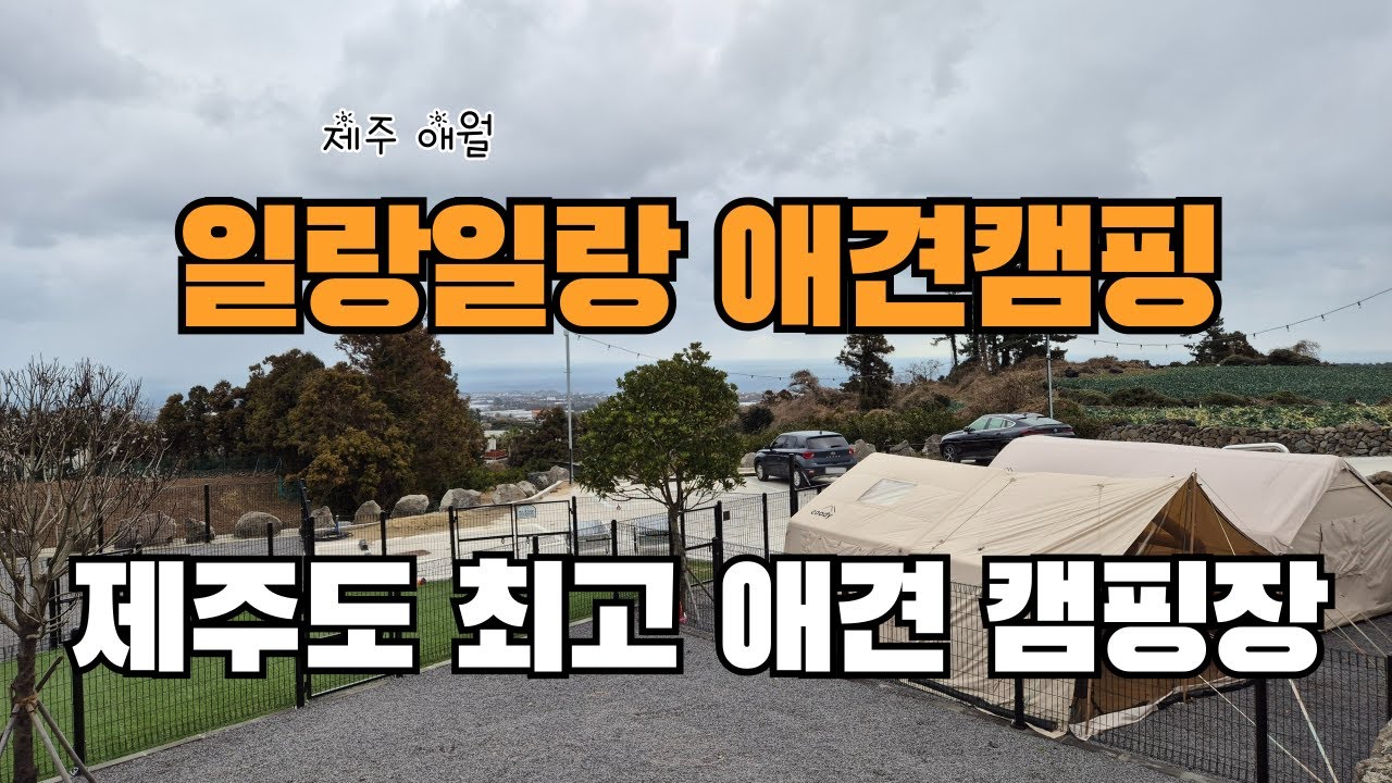 제주도 일랑일랑 애견캠핑 in JEJU | 제주도 최고 애견 캠핑장