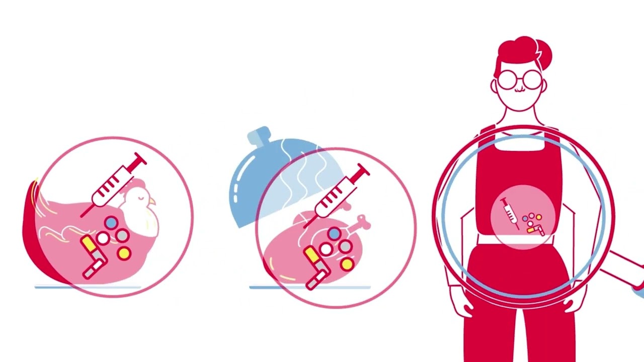 Tierethische Positionen // @bpb_de Schwerpunkt: #Tierethik