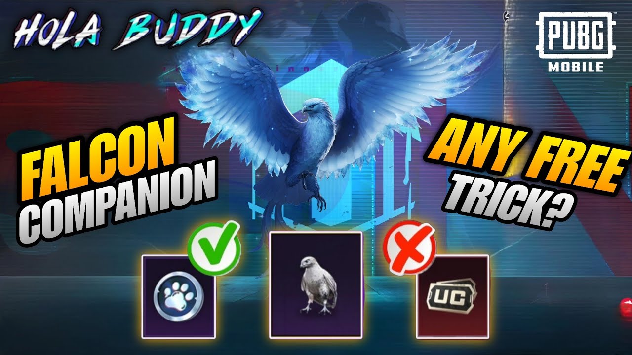 🔴TRICK TO GET FALCON COMPANION IN PUBG MOBILE | FALCON COMPANION RETURNS IN PUBGM | HOLA BUDDY TRICK