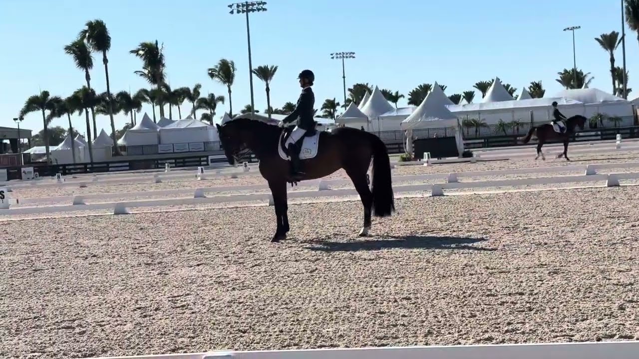 Quinta❤️ first show Third 1 73.6%