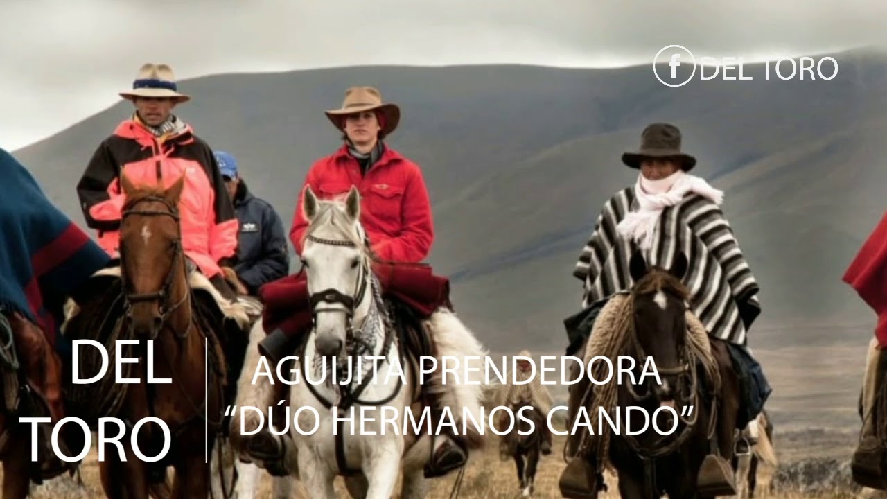 AGUJITA PRENDEDORA | 