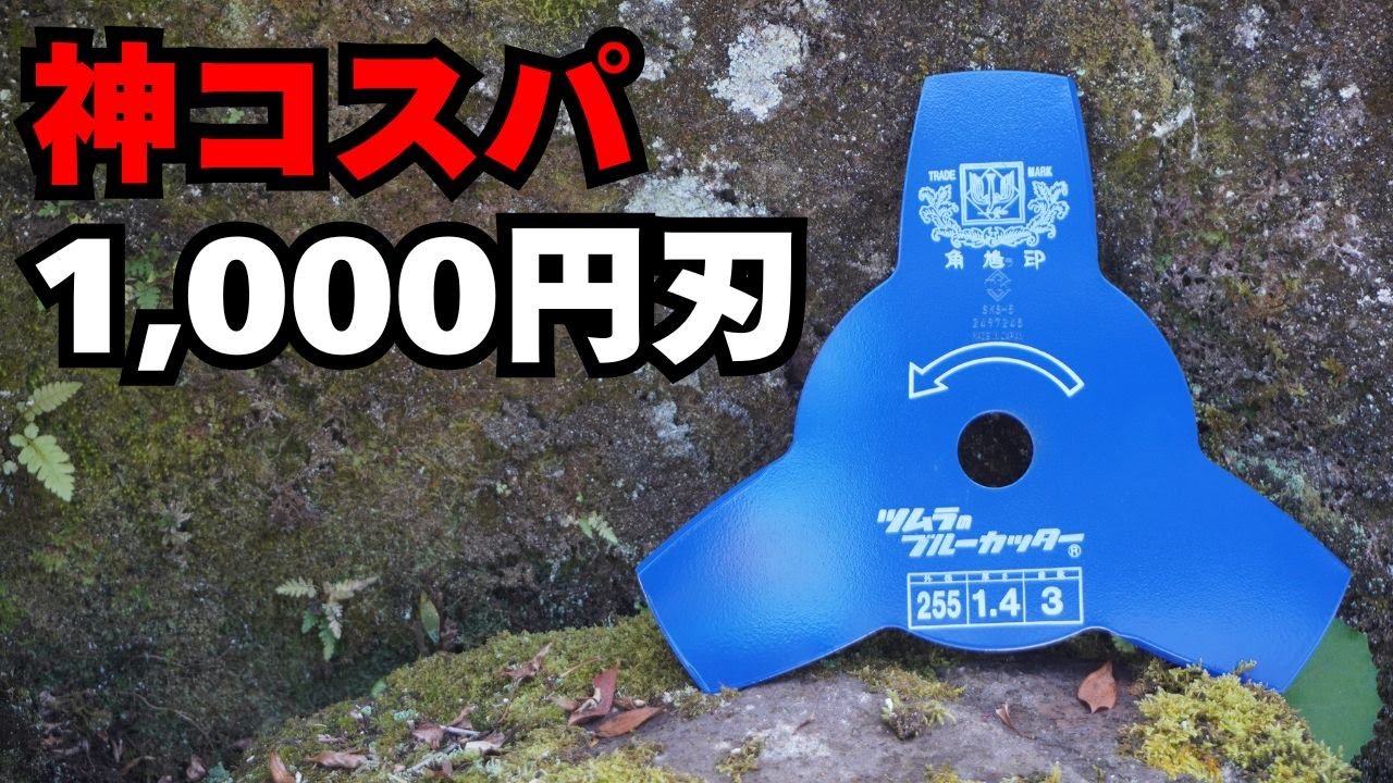 1000円でこの快適さ! ツムラ切込3枚刃が&ldquo;神コスパ&rdquo;すぎる！
