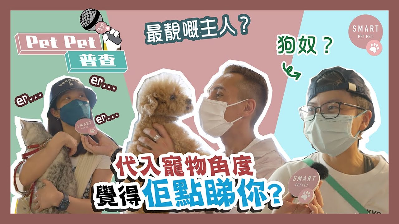 【Pet Pet普查】寵主代入毛孩角度，覺得佢會點睇你？｜Smart Pet Pet