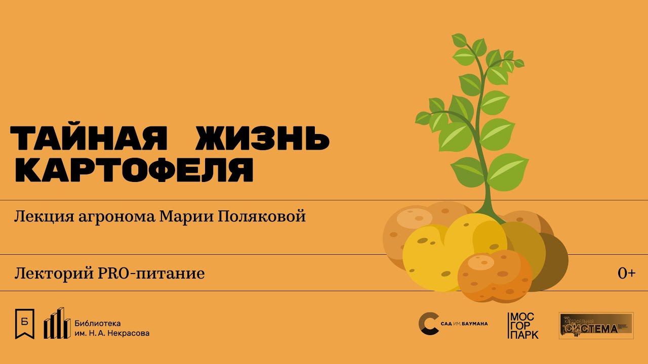 «Тайная жизнь картофеля». Лекция агронома Марии Поляковой