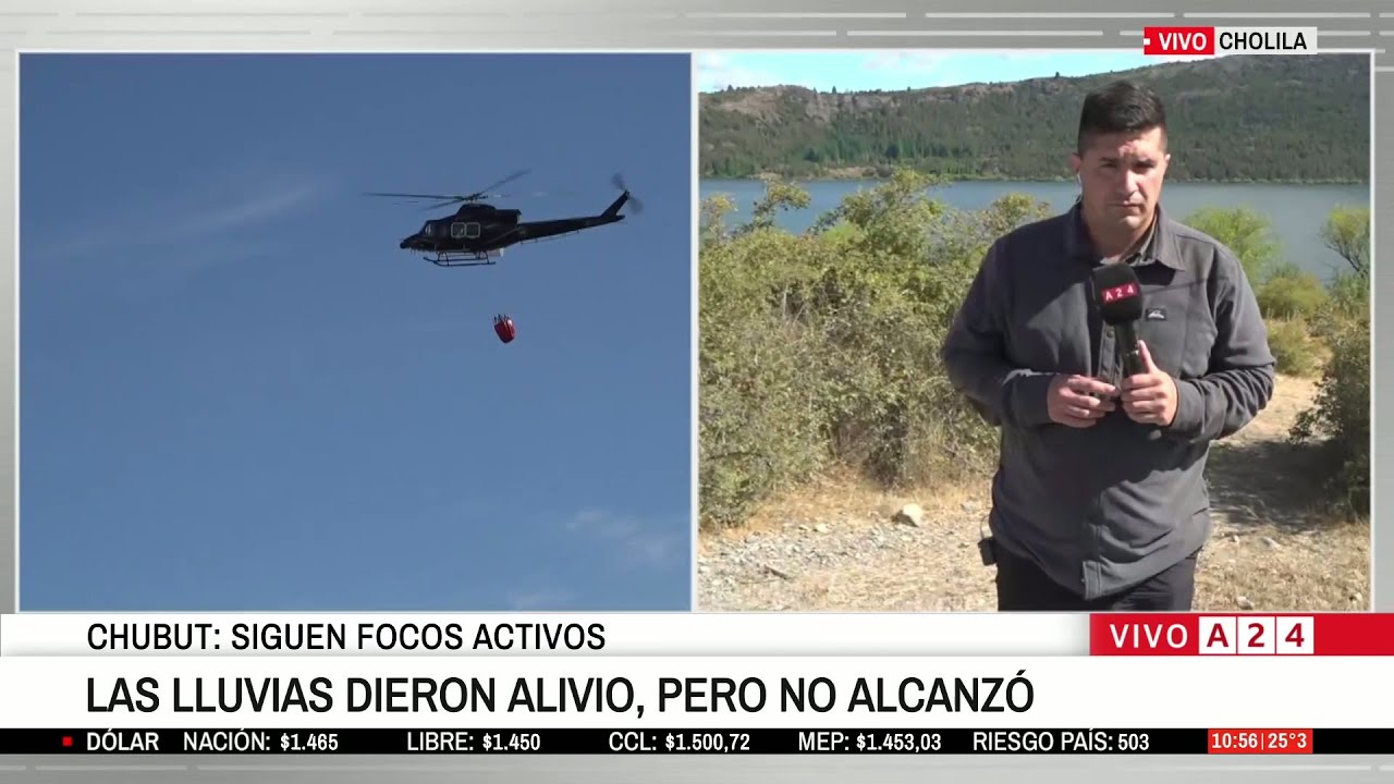 🔥 INCENDIOS EN CHUBUT: CHOLILA, LOS ALERCES Y PUERTO PATRIA, LAS ZONAS MÁS AFECTADAS