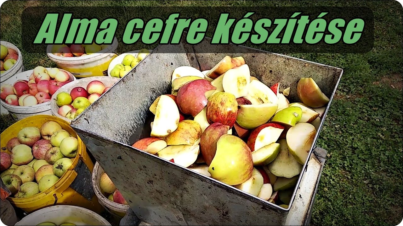 Alma cefre készítése - Fontos tudnivalók a cefrézés folyamatairól