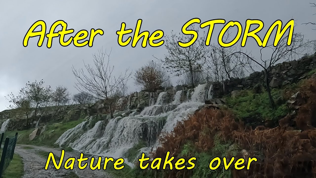 Relentless Rain Causes Landslides & Flooding on Our Land in Portugal