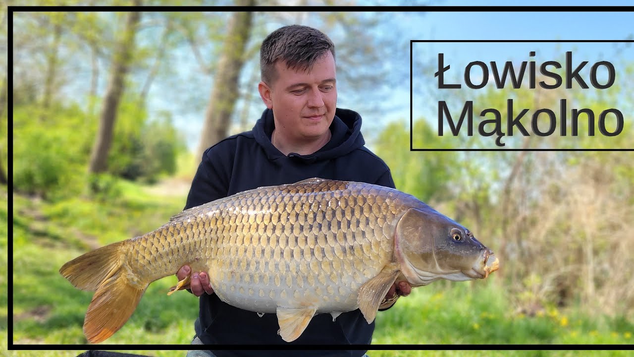 Łowisko Mąkolno 💥💥 karpie🐟 na methode🎥 z żoną ❤️