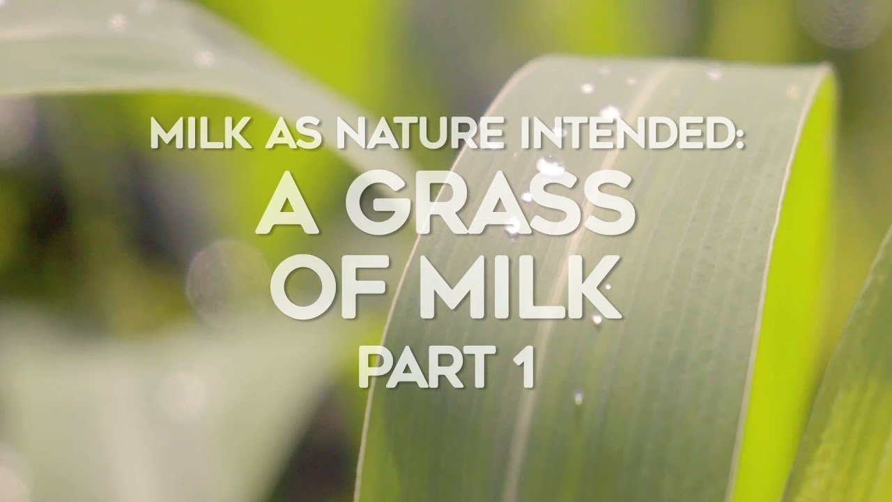 Milk As Nature Intended - Part 1: Grass of Milk #FreshIsBest