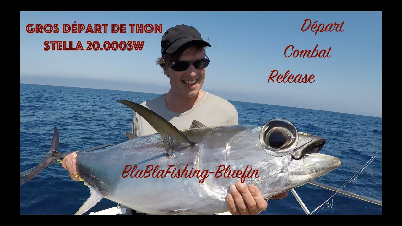 fishing Tuna Thon Rouge Leucate M&eacute;diterran&eacute;e .