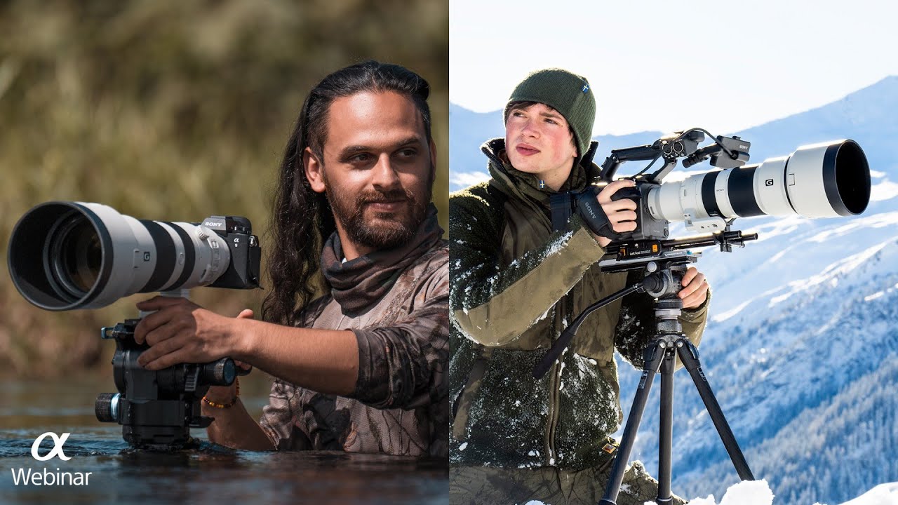 Webinar: Wildlife shooting with the Sony FE 400-800mm f/6.3-8 G OSS