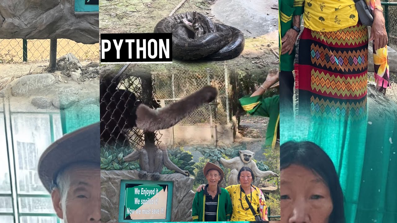 Captured these special moments because it’s Ane’s first visit to the Biological Park Itanagar(AP)