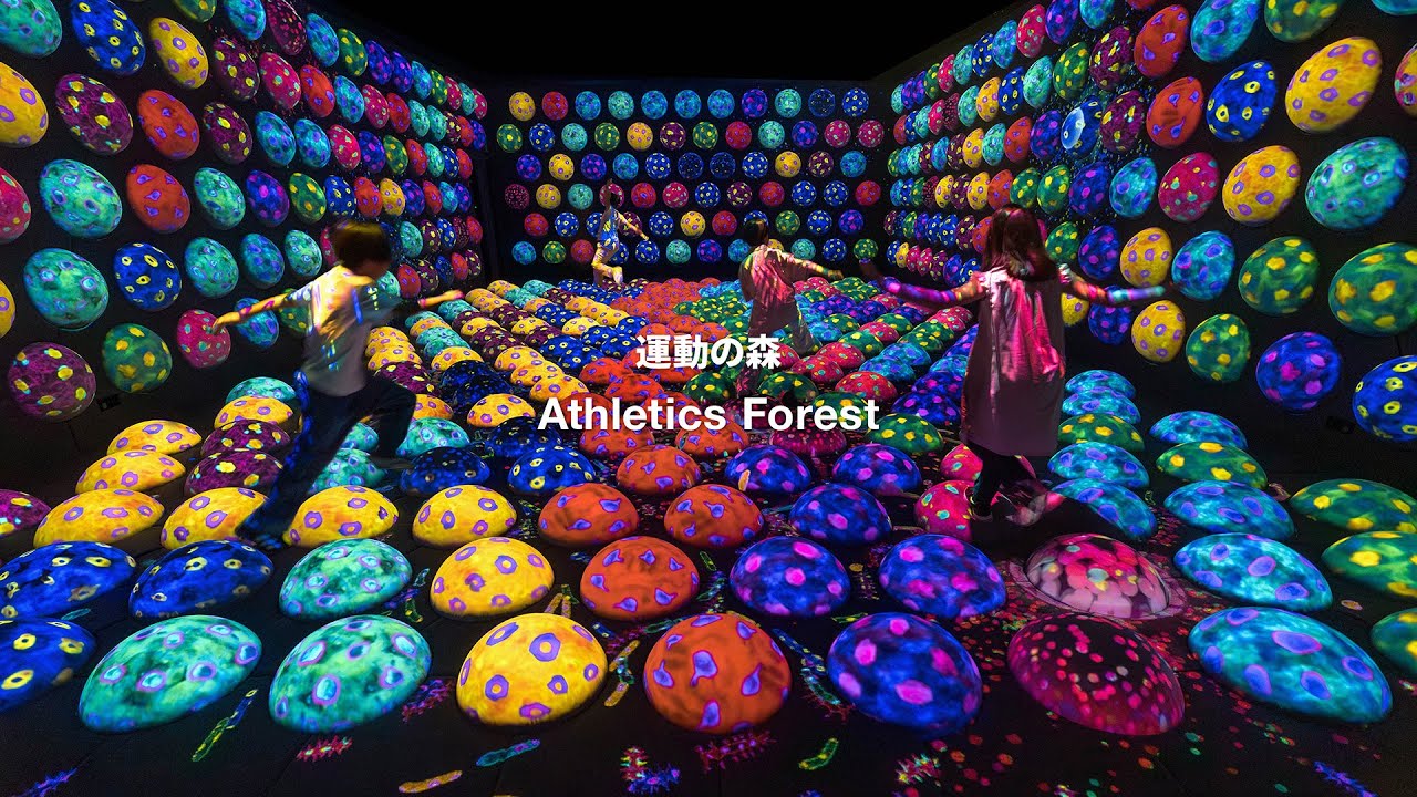 teamLab Biovortex Kyoto Athletics Forest Highlight Video / チームラボ バイオヴォルテックス 京都 運動の森 ハイライト動画