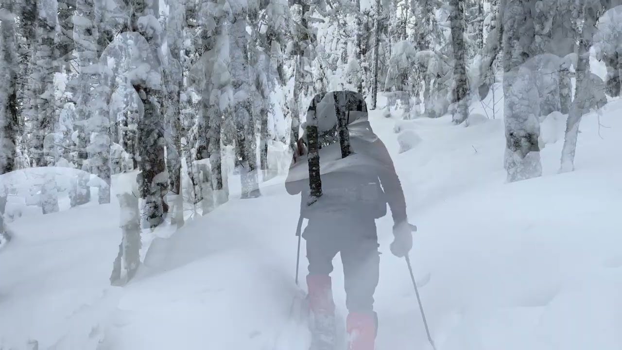 Moosilauke