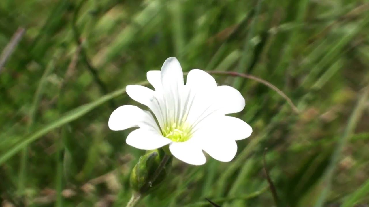 Monte Subasio