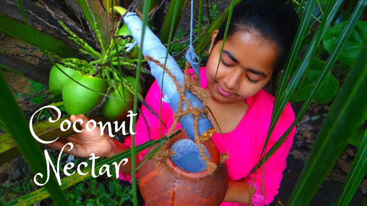 Home Made Coconut Jaggery/හකුරු 