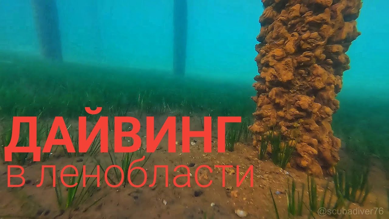Дайвинг в Ленинградской области. Саперное озеро 4
