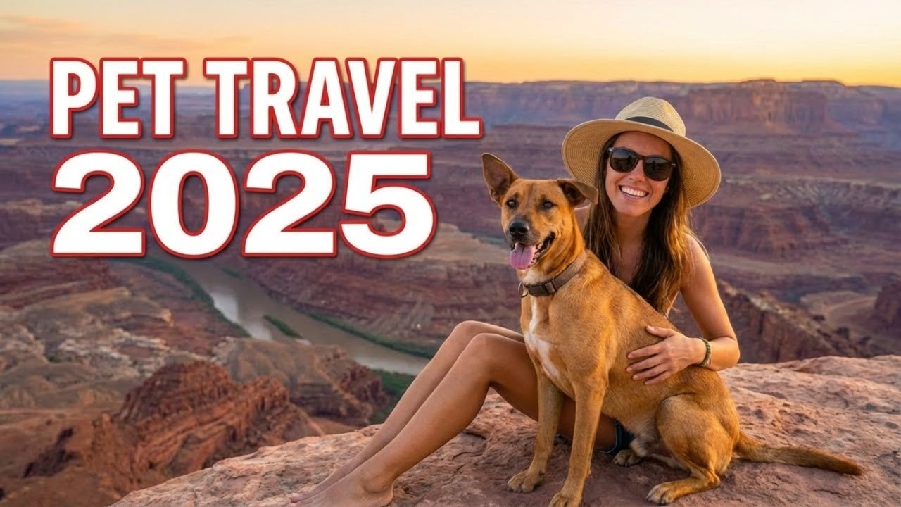 11 Most Dog Friendly National Parks - National Park Paws