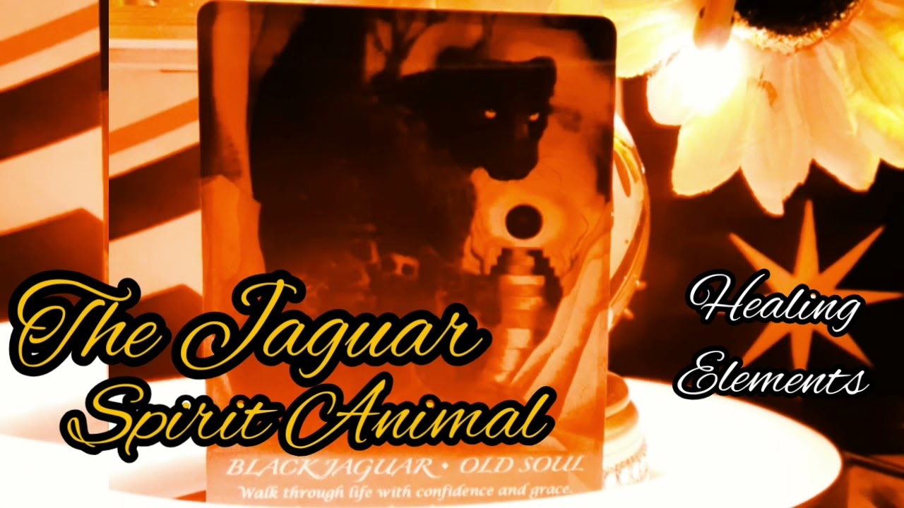 🐾 The Jaguar Spirit 🐾 All about the JAGUAR SPIRIT ANIMAL 🐾 Symbolism & Meaning
